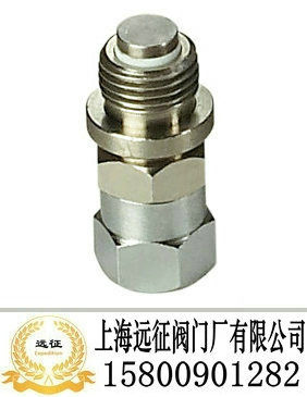充气阀