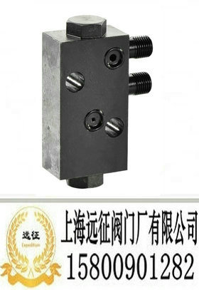 单向液压锁